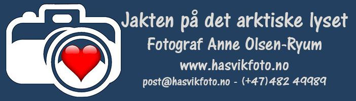 HASVIK FOTO Anne Olsen-Ryum logo